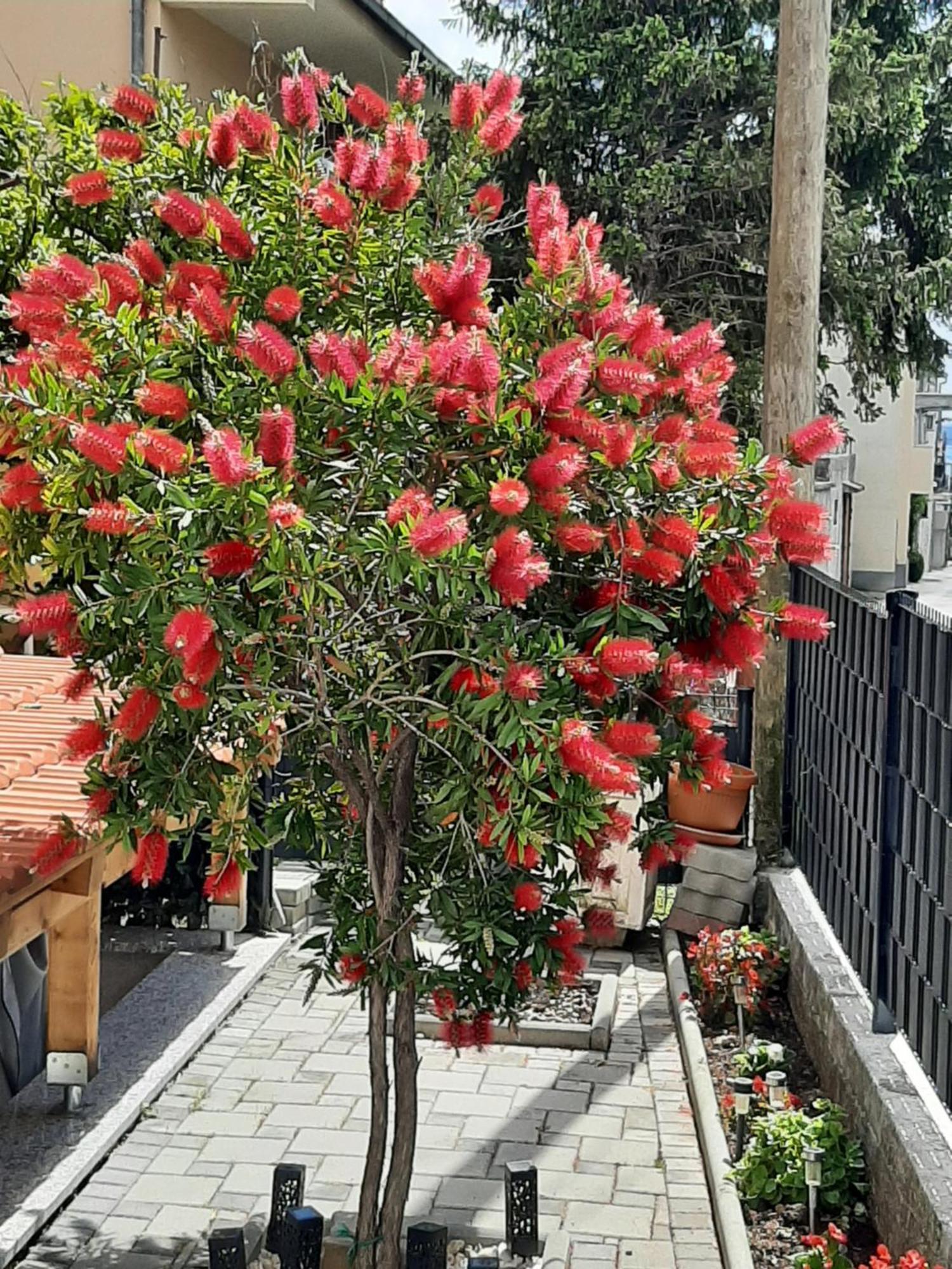 Apartment Radalj Kaštela Екстериор снимка